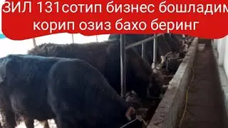 зилди сотиб нима килдинг деганларга бука бокиш