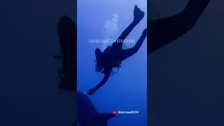 A genuine connection with a 🐬