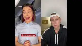 Кот в самолёте 🤯 #shorts
