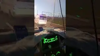 каршеринг вез цветы