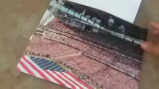 Minnesota Vikings fan pack + Email Success