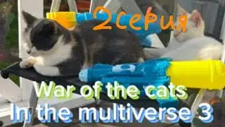 War of the cats In the multiverse 3 сезон 2 серия