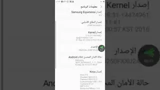 how to enable hidden phone options for any phone