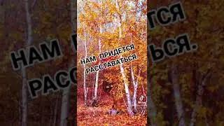 Уходит Август!!!