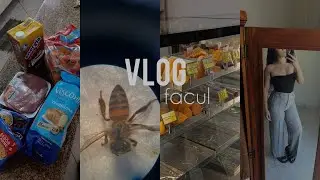 vlog alguns dias comigo