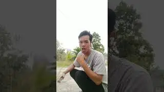 Hiburan aja