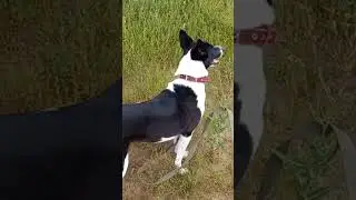 Привет из Тюмени!