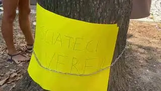 Stop al taglio degli alberi in Cittadella? Il Comune apre le porte: "Ipotesi trapianto"