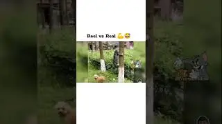 Reel vs Real 😂 #cartoon #tom #funny #viral #trending #comedy #reels #tomjerry