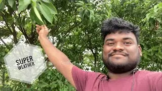 MINI VLOG || Super Weather