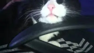 Наф наф