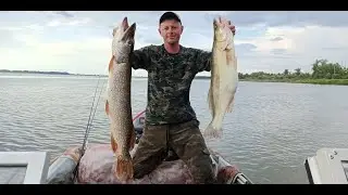 Fishing on the Ob is always a trophy!