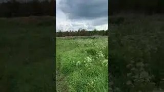Хорошо в деревне летом