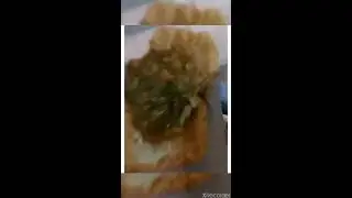 Homemade doubles