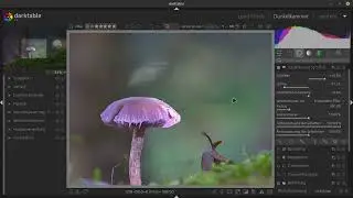 #Darktable Bilder Besprechung und eine kleine Bearbeitung
