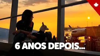 OI, BRASIL! Viagem de Toronto para São Paulo com cachorro + reencontro com a família ❤️
