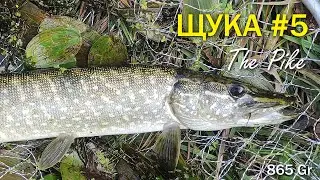 Ловля Щуки - Real Pike fishing #5
