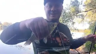 Рыбалка на реке Днепр,fishing on the Dnieper river 19.07.2022