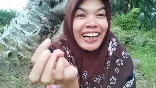 cari pakis di #pt #sopindo banyak sekali⁉️⁉️⁉️