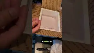 Mike The Fish Man from tictok just sent me a box full of angles 