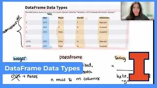 Mastery Platform Walkthrough: DataFrame Data Types
