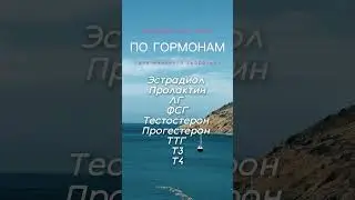 Чек лист