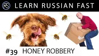 Story #39. HONEY ROBBERY. Text + Audio + Eng.Subs. Learn Russian with Short Stories.