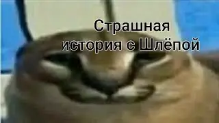 Шлёпа и чебупели