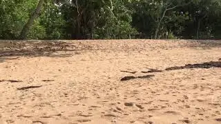 Melbourne Beach, Tanjung Kasuari - Sorong Papua Barat