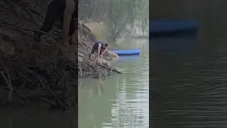 Saving A Sheep From Drowning In The Outback
