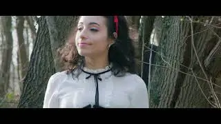 Alice: Part Two
