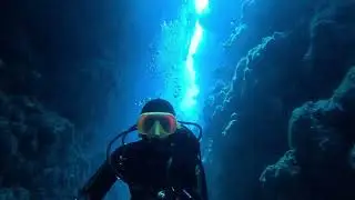 Дейли-дайвинг в Дахабе с дайв-клубом Альтернатива 15-25 апреля