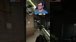 This Counter-Strike Skin is Certified Aimbot 🤖😱