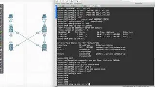 VXLAN: Building the Multi-Destination Underlay Demo