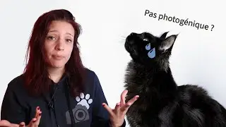 Pourquoi les photos de tes animaux noirs sont ratées