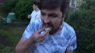 Anomaly and friends 2017
