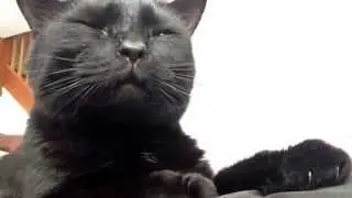 Hello