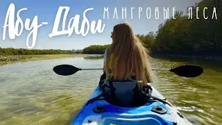 Что посмотреть в Абу-даби? Мангровые леса в ОАЭ.