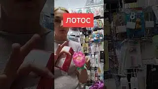 6 сентября 2024 г.