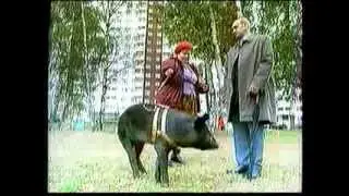 Рекламный блок 1 