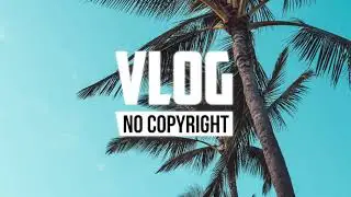 Wonki - Coconut Blues (Vlog No Copyright Music)