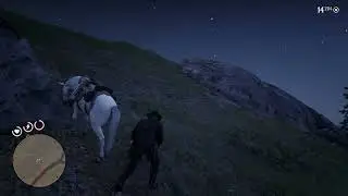 Red Dead Redemption 2 - где найти барсука (легендарная шкура барсука).