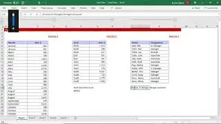 MULTI LEVEL SORT, CUSTOM SORT, COLOUR SORT #9