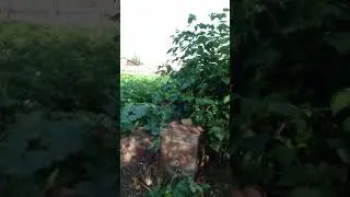 Вайфай 