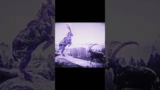 The GOAT? 🐐 #shorts