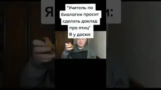 Мем номер 341