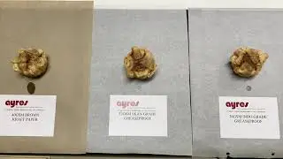 GREASE PROOF PAPER TEST