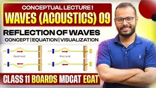 11 | Waves & Acoustics 09 | Reflection of Waves | On String | Sound Waves | Echo | ECAT/MDCAT