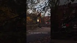 #осеньь#ноябрь #youtubeshorts #life #aesthetic #природа #краскиосени #мояжизнь