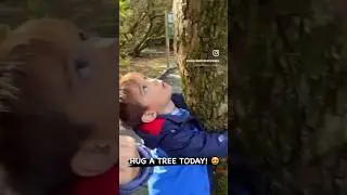 Hug a tree today! 🫶